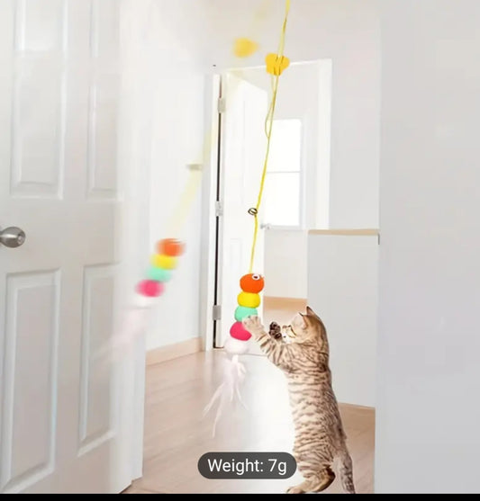 Interactive cat door hanging toy