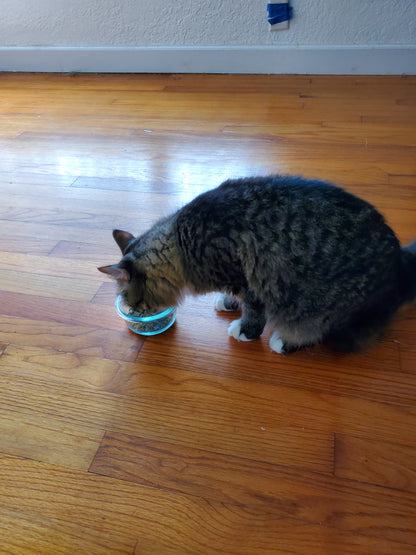 Catnip and Valerian Root mix