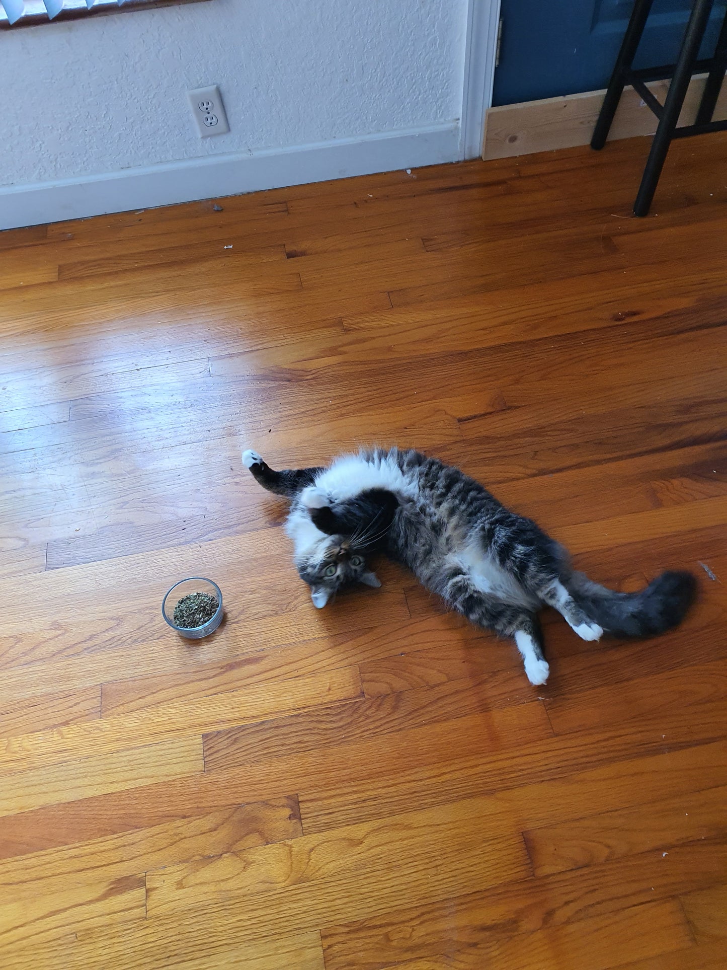 Catnip and Valerian Root mix